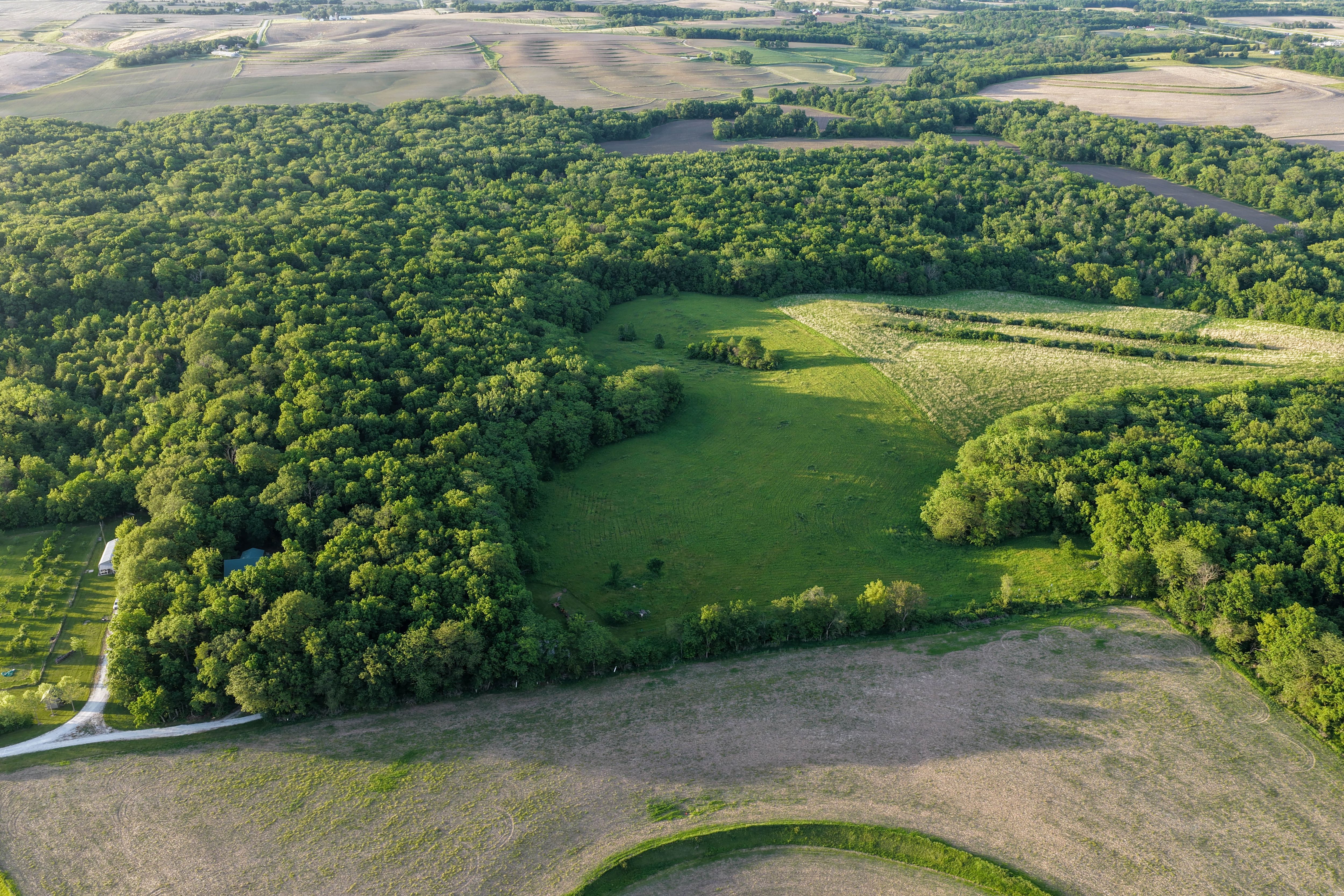 Listing Photo: Washington County Iowa Recreational Land For Sale-69
